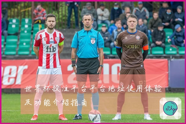 世界杯投注平台平台地址使用体验及功能介绍指南