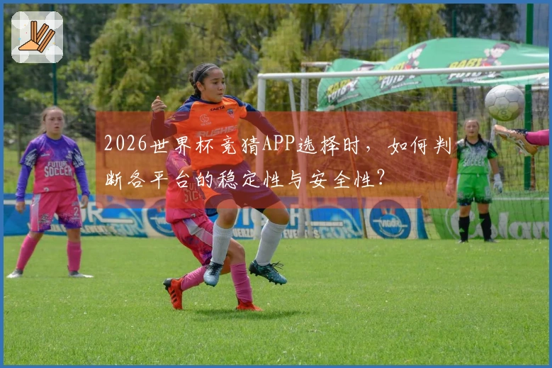 2026世界杯竞猜APP选择时，如何判断各平台的稳定性与安全性？
