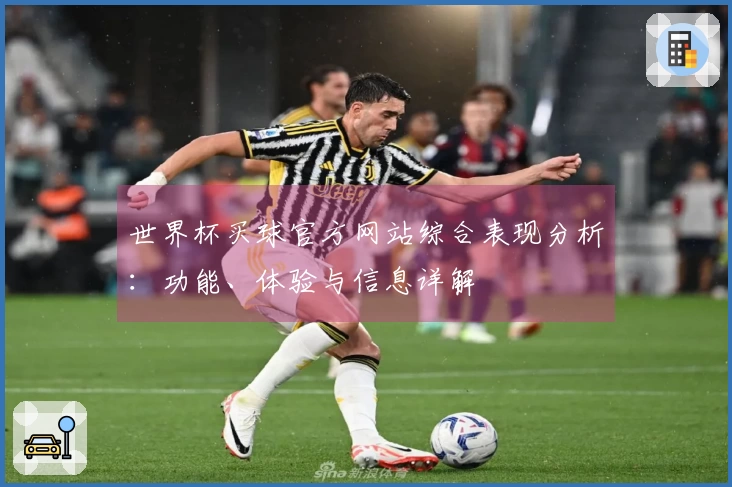 世界杯买球官方网站综合表现分析：功能、体验与信息详解