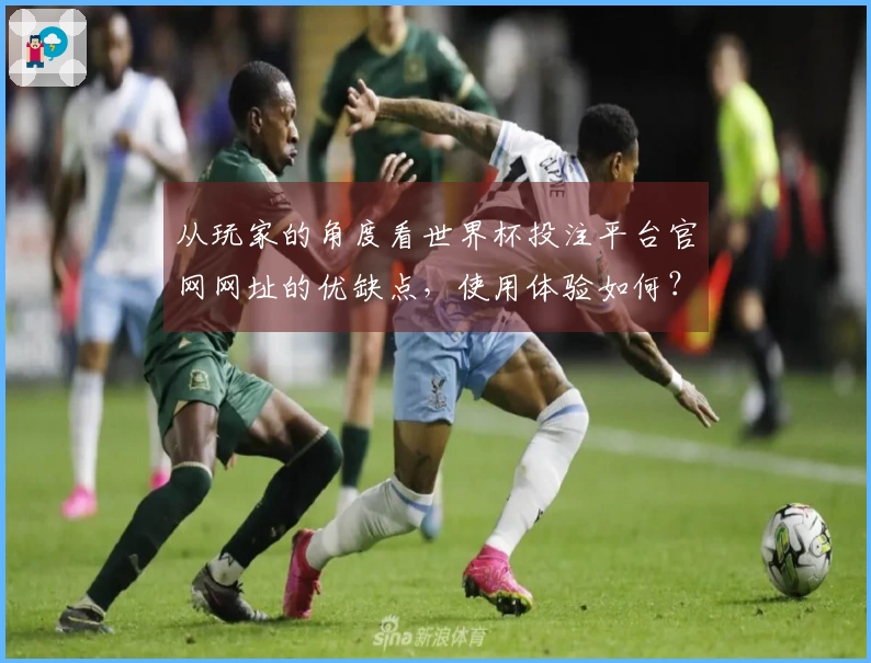 从玩家的角度看世界杯投注平台官网网址的优缺点，使用体验如何？