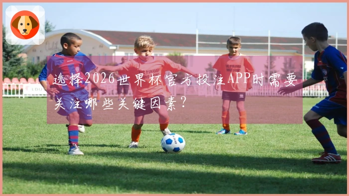 选择2026世界杯官方投注APP时需要关注哪些关键因素？