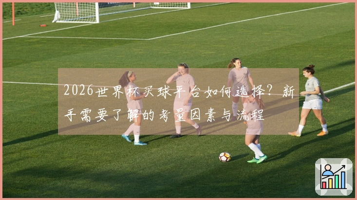 2026世界杯买球平台如何选择？新手需要了解的考量因素与流程