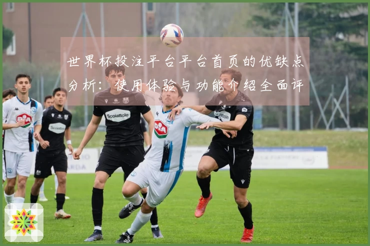 世界杯投注平台平台首页的优缺点分析：使用体验与功能介绍全面评测