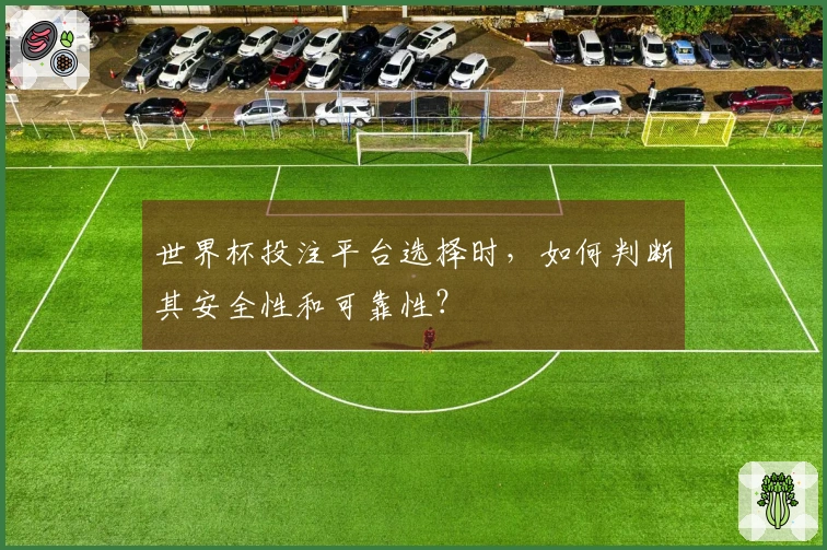 世界杯投注平台选择时，如何判断其安全性和可靠性？