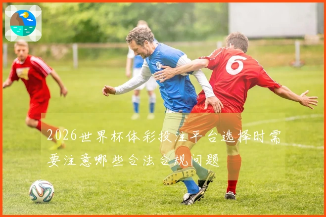 2026世界杯体彩投注平台选择时需要注意哪些合法合规问题