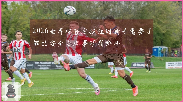 2026世界杯官方投注时新手需要了解的安全合规事项有哪些