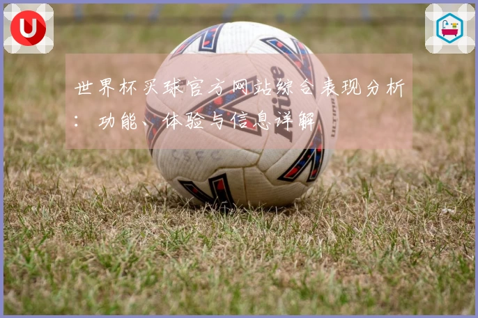 世界杯买球官方网站综合表现分析:功能、体验与信息详解