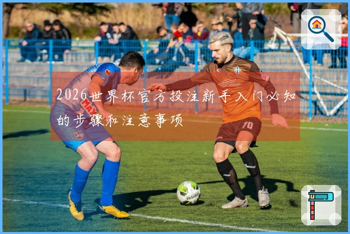 2026世界杯官方投注新手入门必知的步骤和注意事项