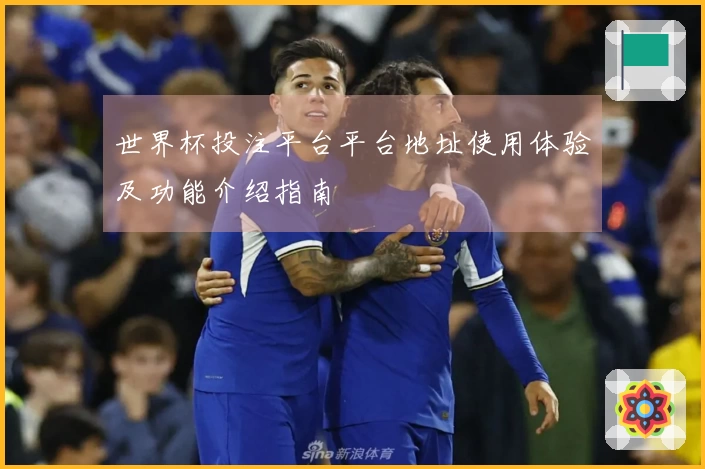 世界杯投注平台平台地址使用体验及功能介绍指南