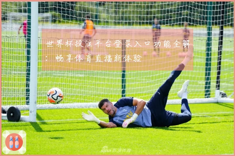 世界杯投注平台登录入口功能全解：畅享体育直播新体验