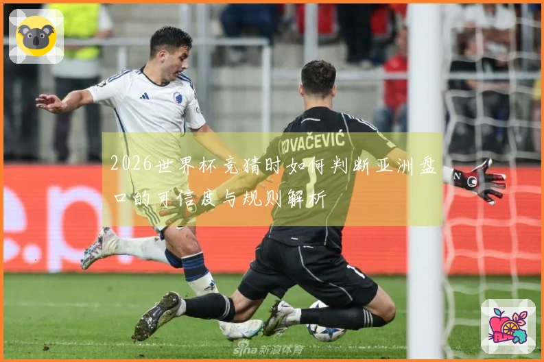 2026世界杯竞猜时如何判断亚洲盘口的可信度与规则解析